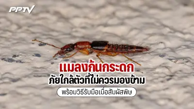 น้าชาติ ชนะคดี ตร.แจ้งข้อหาเท็จ หลังถูกจับคดีน้องชมพู่