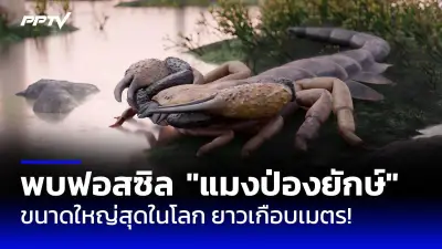 ปากีสถานจับกุมผู้นำกองกำลังติดอาวุธชาวต่างชาติ 2 รายในเมืองเควตตา