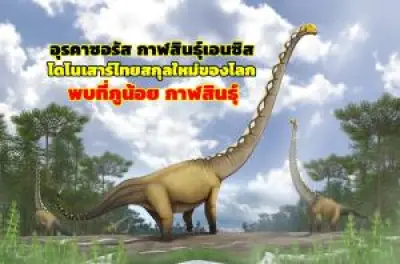 พัทยาเปิดเทศกาลนับถอยหลังเคานต์ดาวน์ 2568 ต้อนรับปีใหม่