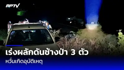 กู้ภัยเร่งค้นหา 2 พ่อลูกถูกคลื่นซัดหายกลางทะเลกระบี่