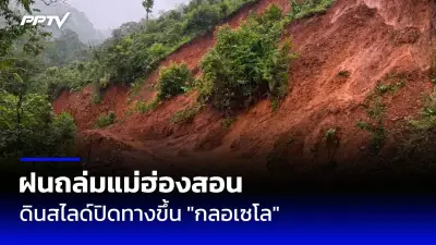พายุถล่มกรุงเทพฯ ต้นไม้ล้มทับรถเสียหายหลายจุด