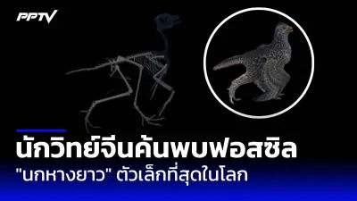 ทรัมป์ยื่นข้อเสนอหยุดยิงยูเครน เงื่อนไขยกเลิกภารกิจพิเศษ