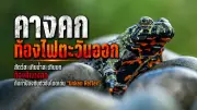 ค่าฝุ่น PM2.5 เชียงใหม่พุ่งสูงเป็นอันดับ 1 ของโลก กระทบสุขภาพน่าเป็นห่วง