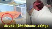 เปิดไทม์ไลน์คดีแตงโม หลังศาลพิพากษา 1 ปี เนติพร จำคุก