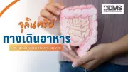 อาการไข้เลือดออกในเด็กที่ผู้ปกครองต้องรู้และวิธีดูแลเบื้องต้น