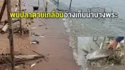 แม่ค้าขนมจีนแจ้งจับตำรวจเรียกค่าไถ่สินค้า ตร.แจงเป็นข่าวเท็จ