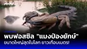 ปากีสถานจับกุมผู้นำกองกำลังติดอาวุธชาวต่างชาติ 2 รายในเมืองเควตตา