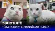 ไฟไหม้โรงงานพลาสติกสมุทรปราการ ควันดำปกคลุม พนง.หนีตายวุ่น