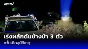 กู้ภัยเร่งค้นหา 2 พ่อลูกถูกคลื่นซัดหายกลางทะเลกระบี่