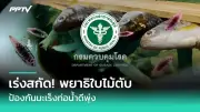 นอนไม่พอเสี่ยงโรคหัวใจ-เบาหวาน งานวิจัยชี้ชัด