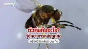 สตรีทฟู้ดเยาวราชติดอันดับ 2 ดีที่สุดในโลก ปี 2568